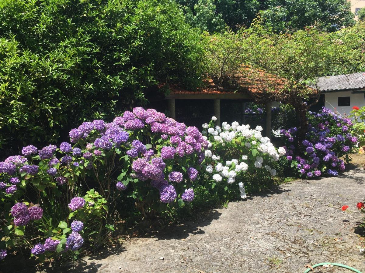 The Oaks House Foz Hotell Porto Eksteriør bilde